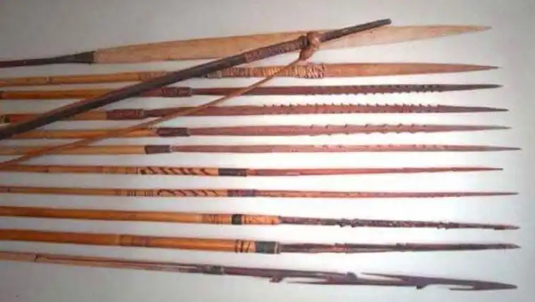 papuan bow and arrow