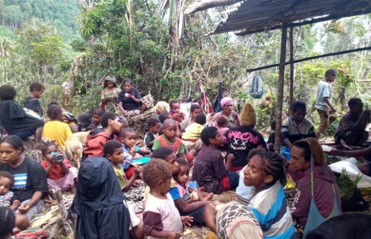 Displaced Indigenous Papuan women and children sheltering in a makeshift forest camp due to the Violence in West Papua.