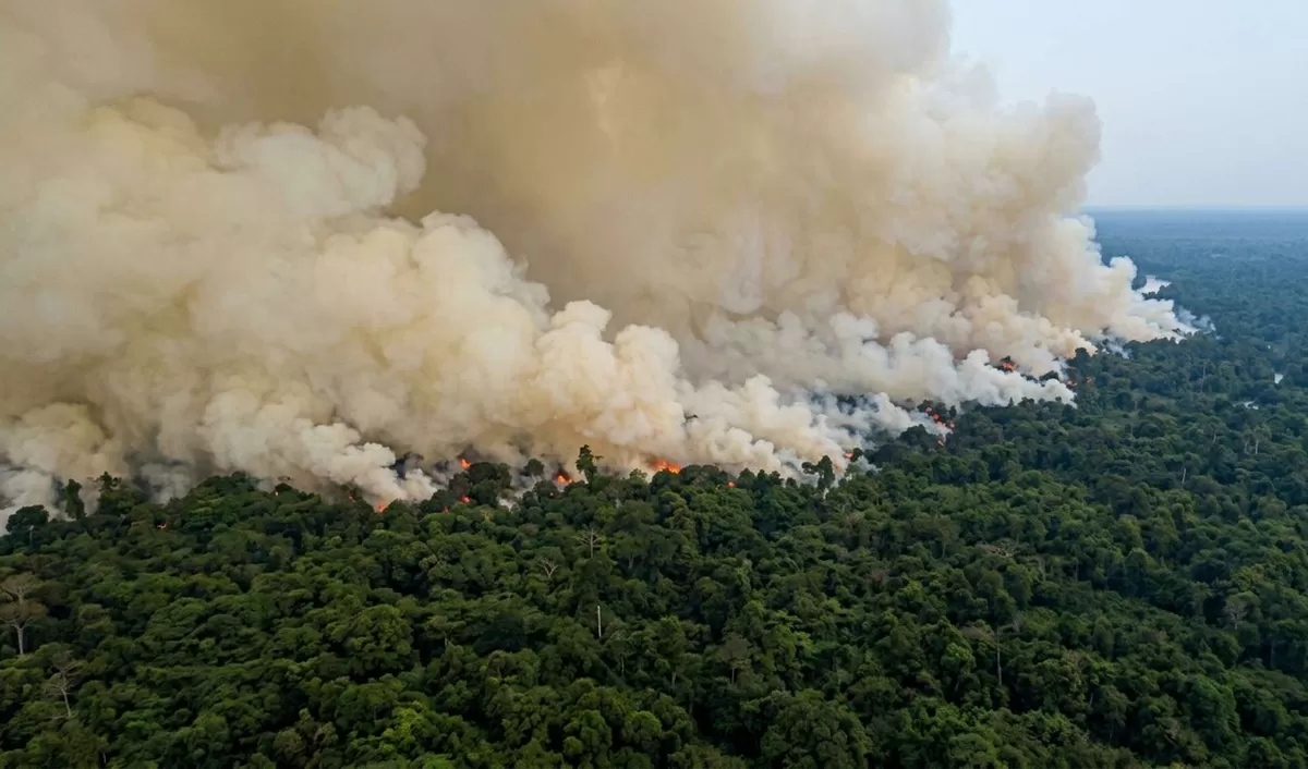 A drone view showing forest fires during the West Papua Wildfires Disaster.